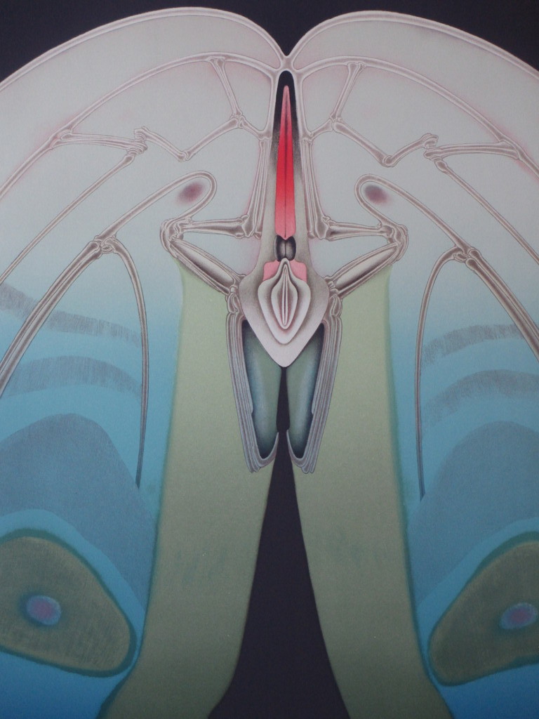 Ond.gesigneerd, Erotische vorm, Kleurenlitho kopen? Bied vanaf 1!