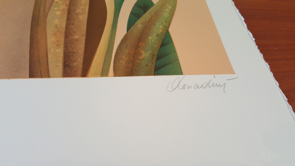 JEAN-PAUL DONADINI - LA LICORNE, grote kleuren lithografie, handgesigneerd kopen? Bied vanaf 1!