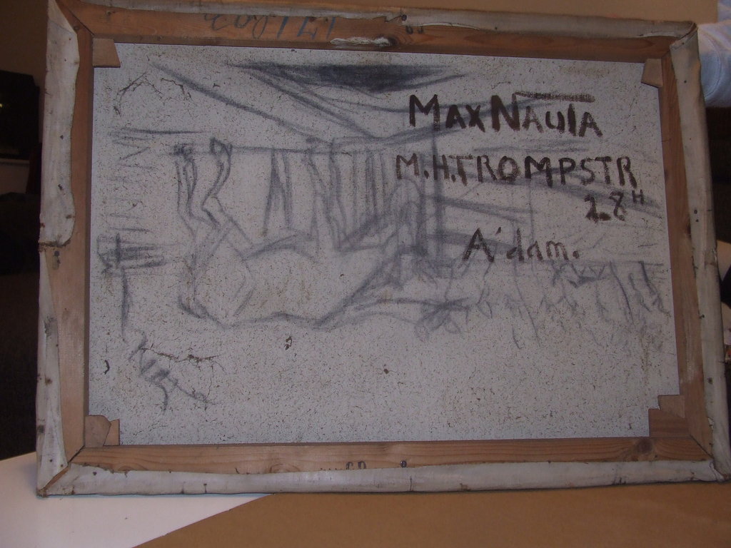 Max Nauta 2 paarden kopen? Bied vanaf 175!