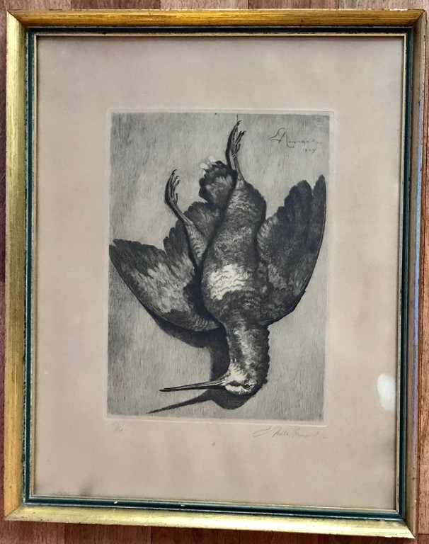 Ets van een dode vogel. kopen? Bied vanaf 1!