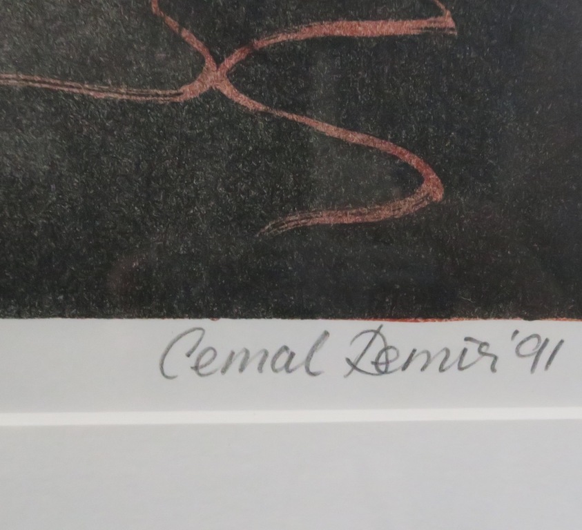Cemal Demir: Litho, Vooruitzicht - Ingelijst kopen? Bied vanaf 1!