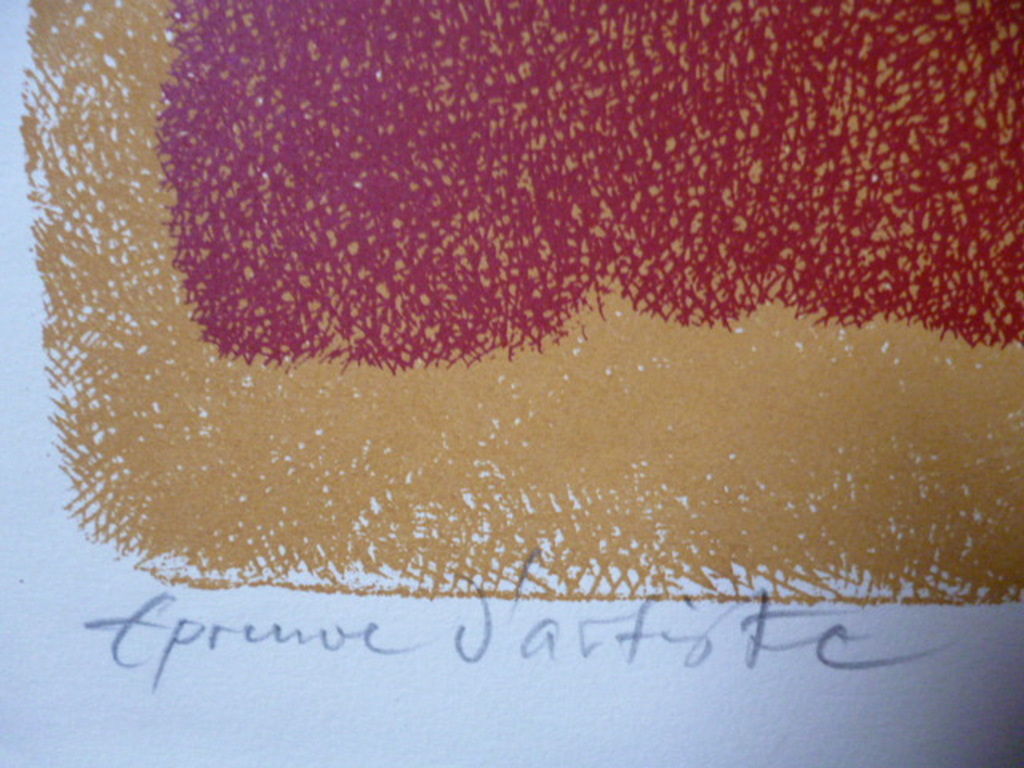 Yargo de Lucca - kleurenlitho - Vogels en vissen kopen? Bied vanaf 25!