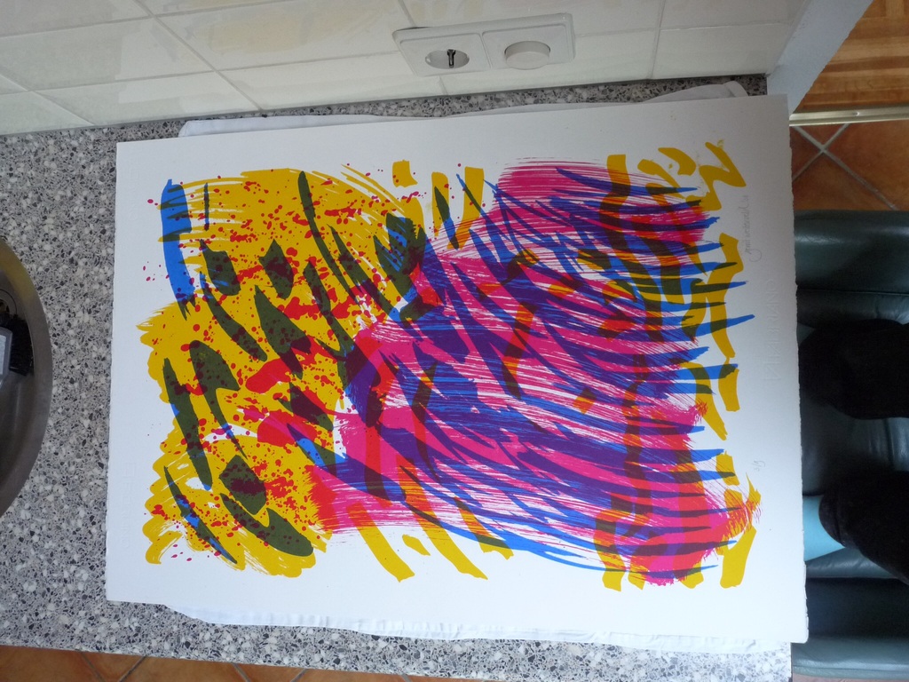 Gerrit Westerveld mooie lithographie kopen? Bied vanaf 50!