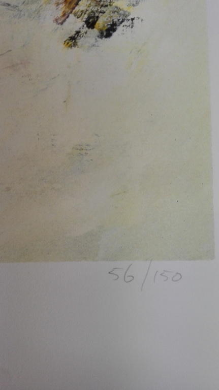 Charlotte Molenkamp, zeefdruk op papier kopen? Bied vanaf 75!