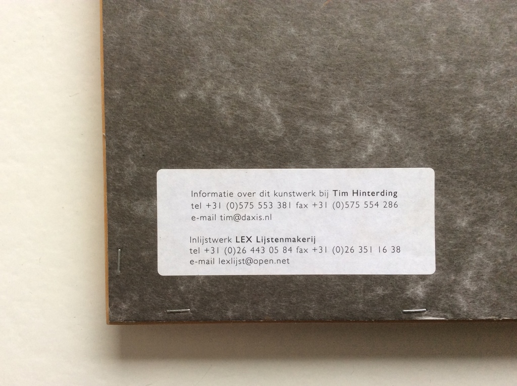 Tim Hinterding: kleurenets, Nuevo Tango, ingelijst  ZZETS kopen? Bied vanaf 39!