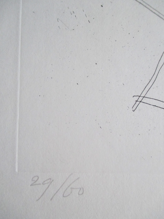 Auke de Vries, lijnets 1988, nr. 29/60 ex. kopen? Bied vanaf 90!