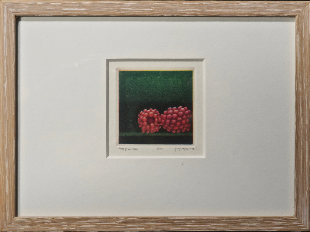 Lot met 4 werken van Joop Vegter: Mezzotint, Doorgesneden radijs.. - lijstjes kopen? Bied vanaf 60!