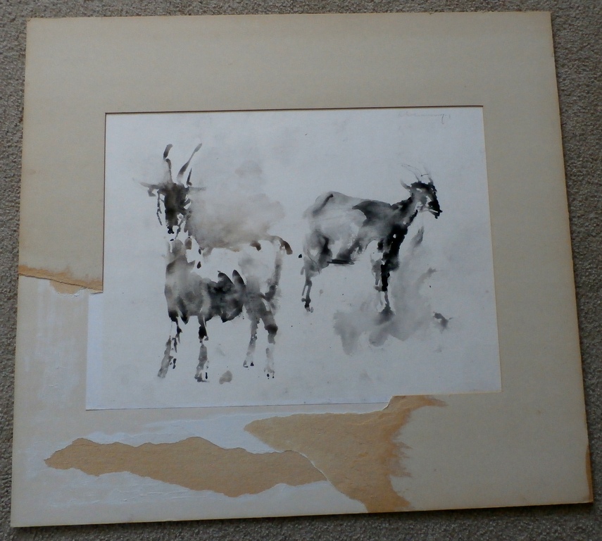 Nico Molenkamp - krijttekening: 2 steenbokken kopen? Bied vanaf 350!