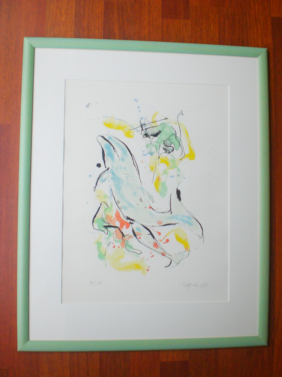 Nic Jonk: Dolfijn, zeefdruk (handgesigneerd, genummerd, mooi ingelijst) kopen? Bied vanaf 90!