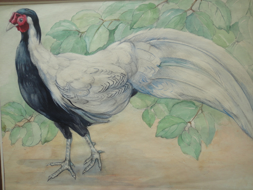 Tini van Doornik (1906-1980), aquarel, haan aan de wandel kopen? Bied vanaf 1!
