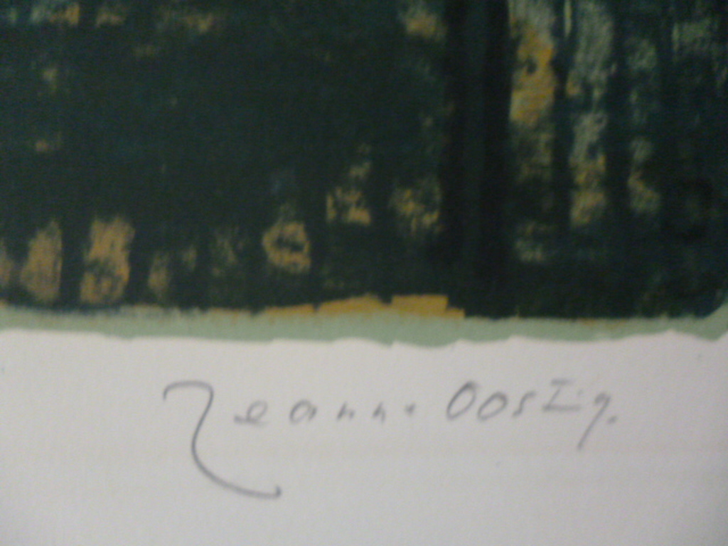 Jeanne Bieruma Oosting - kleurenlitho - Het Oosterpark kopen? Bied vanaf 125!