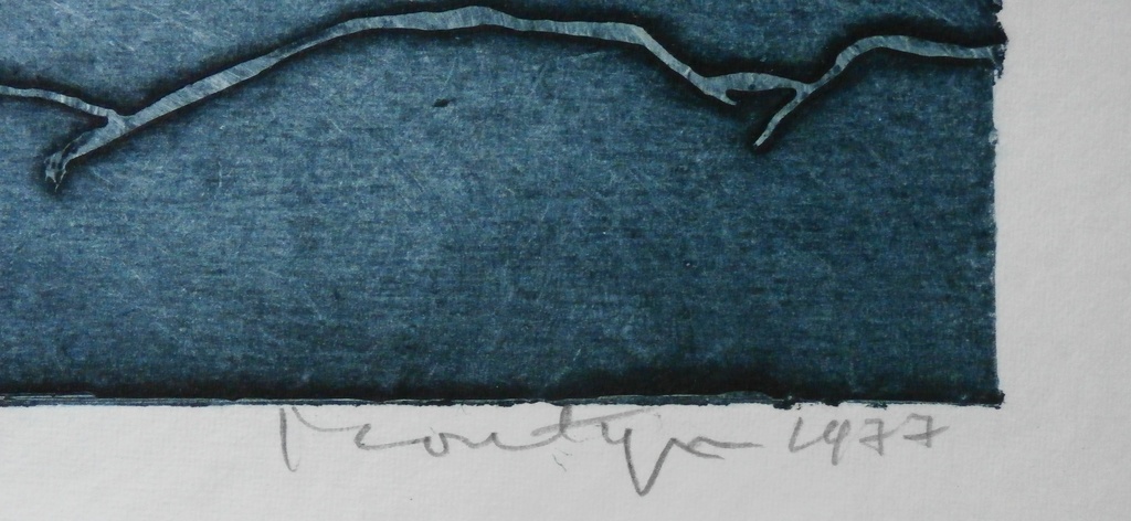 Jan Montyn - ets; Jardin du Silence - 1977 kopen? Bied vanaf 75!