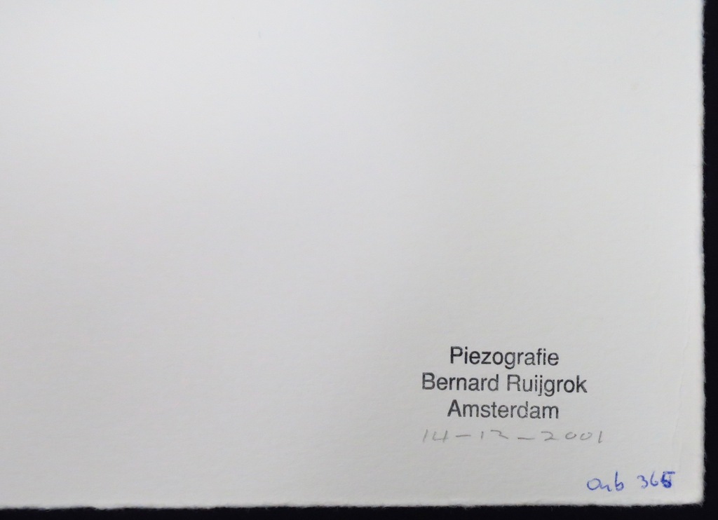 Bernard Ruygrok: Piezografie, Tweeluik  kopen? Bied vanaf 1!