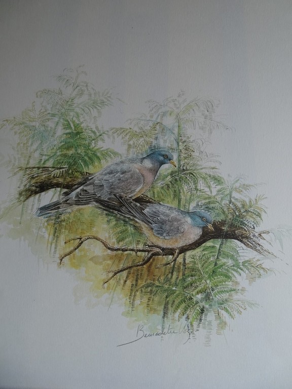 Bernadette Vos, kleurenlitho, Houtduiven kopen? Bied vanaf 1!