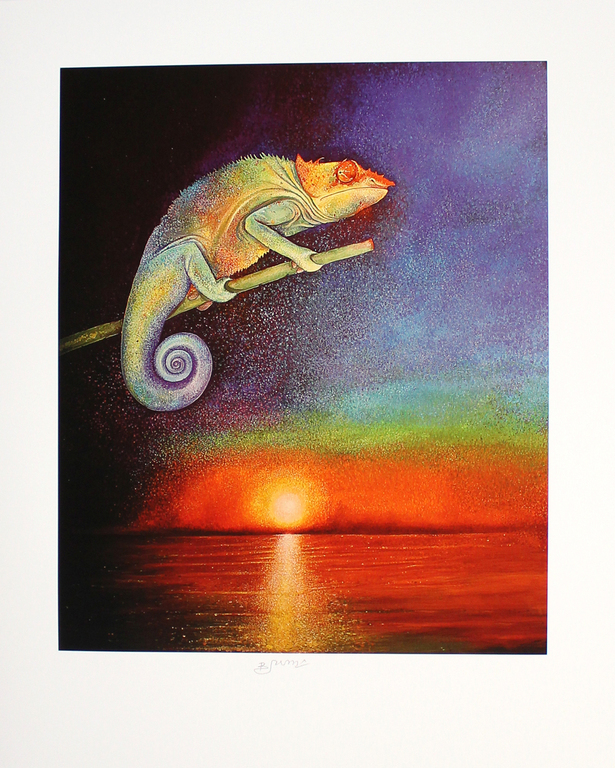 Bruno Bruni -Kameleon bij zonsondergang- Ragfijne Pigmentdruk. Gesigneerd. 2017 verkocht voor € 75!
