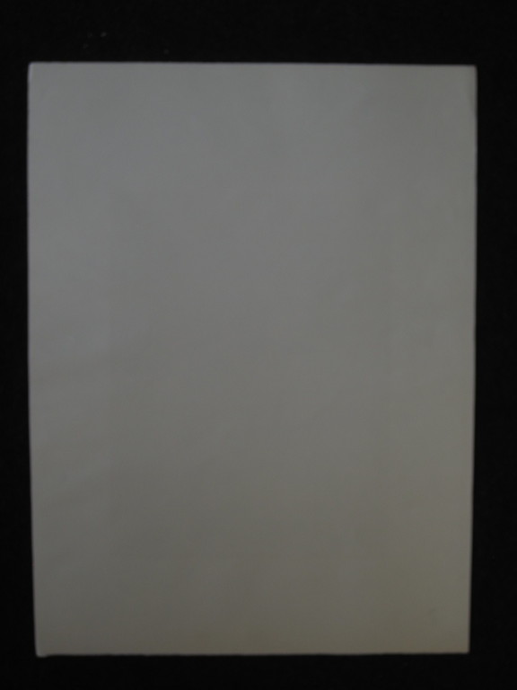 Gesigneerde Litho "eenzame sneeuwman" van vermaard graficus A v Dobbenburgh kopen? Bied vanaf 1!