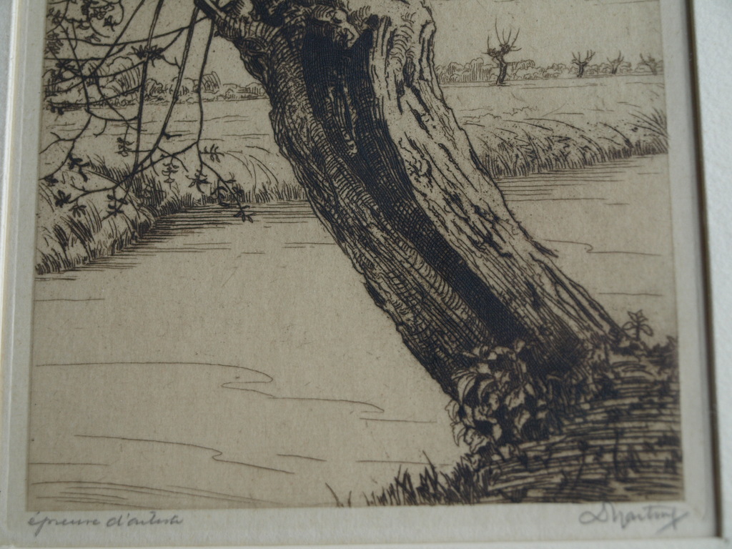 Dirk Harting (1884–1970) : Ets – Knotwilg – Gesigneerd & ingelijst – ca 1935 kopen? Bied vanaf 1!