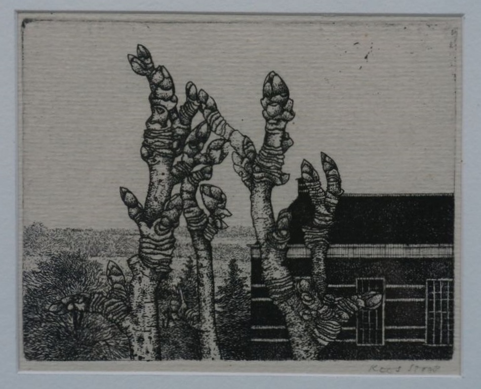 Kees Stoop: Ets, Lente -Ingelijst kopen? Bied vanaf 1!