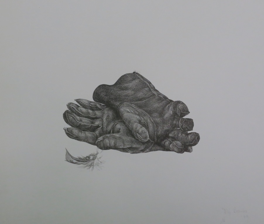 Dixy Boonstra: Litho, Handschoenen kopen? Bied vanaf 1!