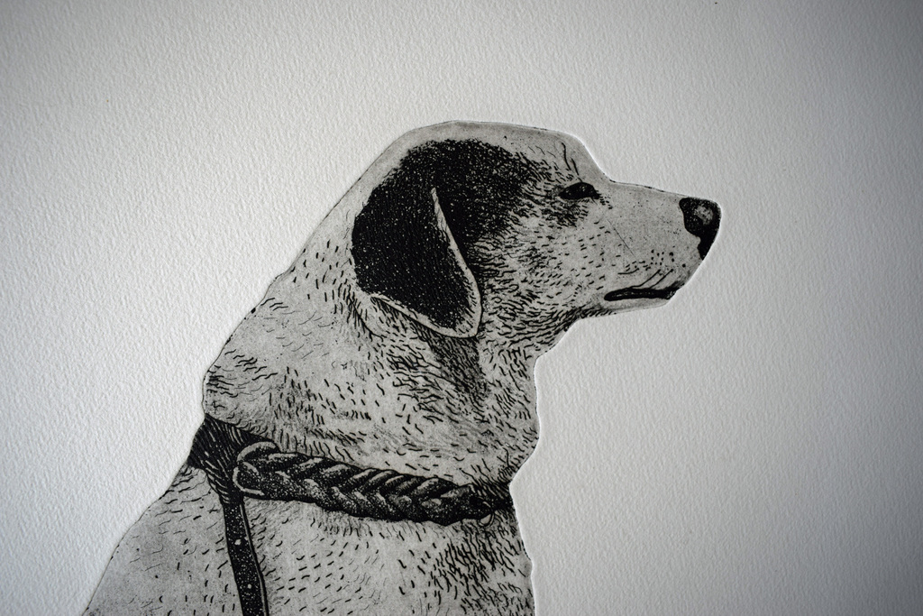 Arja van den Berg # Hond # 1973, oplage 65 ex., genummerd /gesigneerd kopen? Bied vanaf 49!