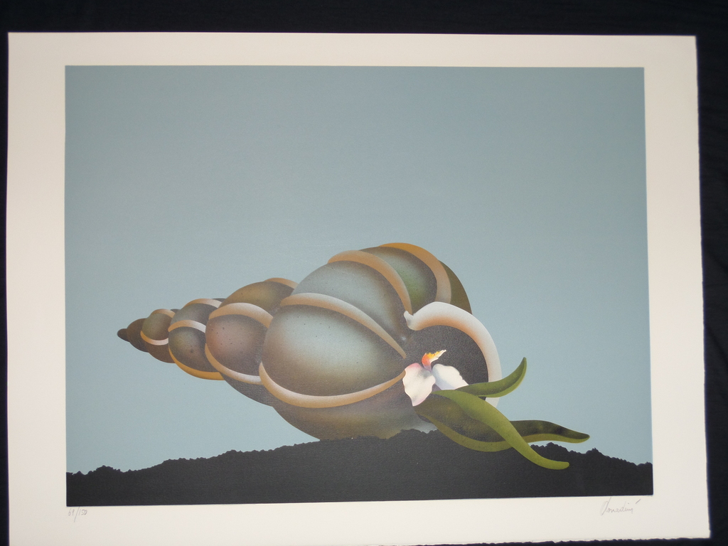 Jean-Paul Donadini, La Coquille, kleurenlithografie, handgesigneerd en handgenummerd, 150 ex. kopen? Bied vanaf 1!