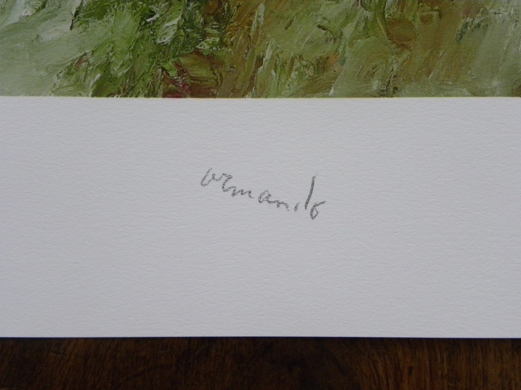 Armando - 'Waldig' - gesigneerde giclee - oplage 25 ex. - 2015 kopen? Bied vanaf 245!