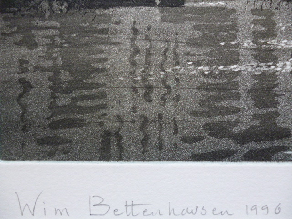 Wim Bettenhausen - kleurenets - Hofvijver in tegenlicht kopen? Bied vanaf 120!