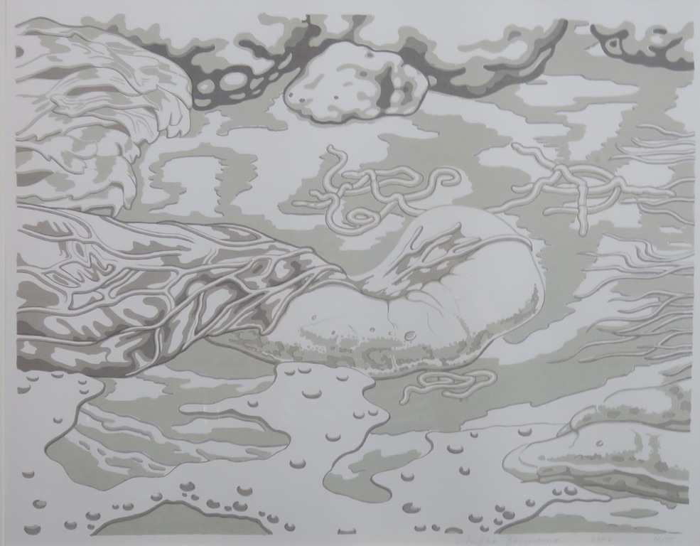 Aafke Bennema: Zeefdruk, Z.T. - Ingelijst kopen? Bied vanaf 1!