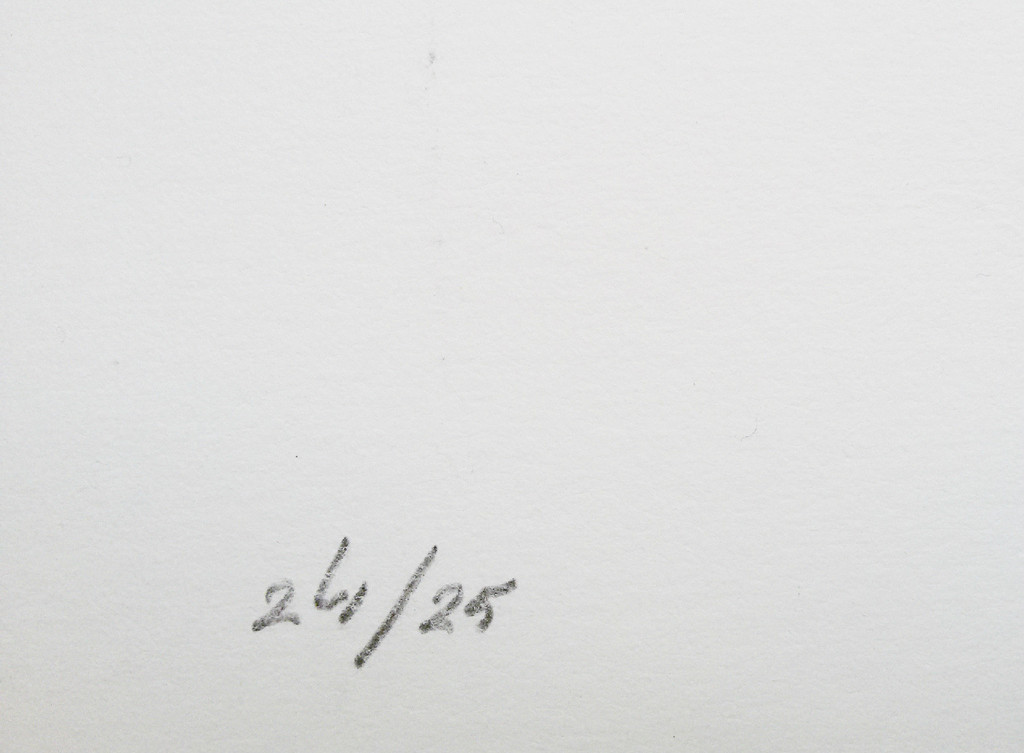 Peter van Drumpt - Abstracte compositie, litho kopen? Bied vanaf 30!