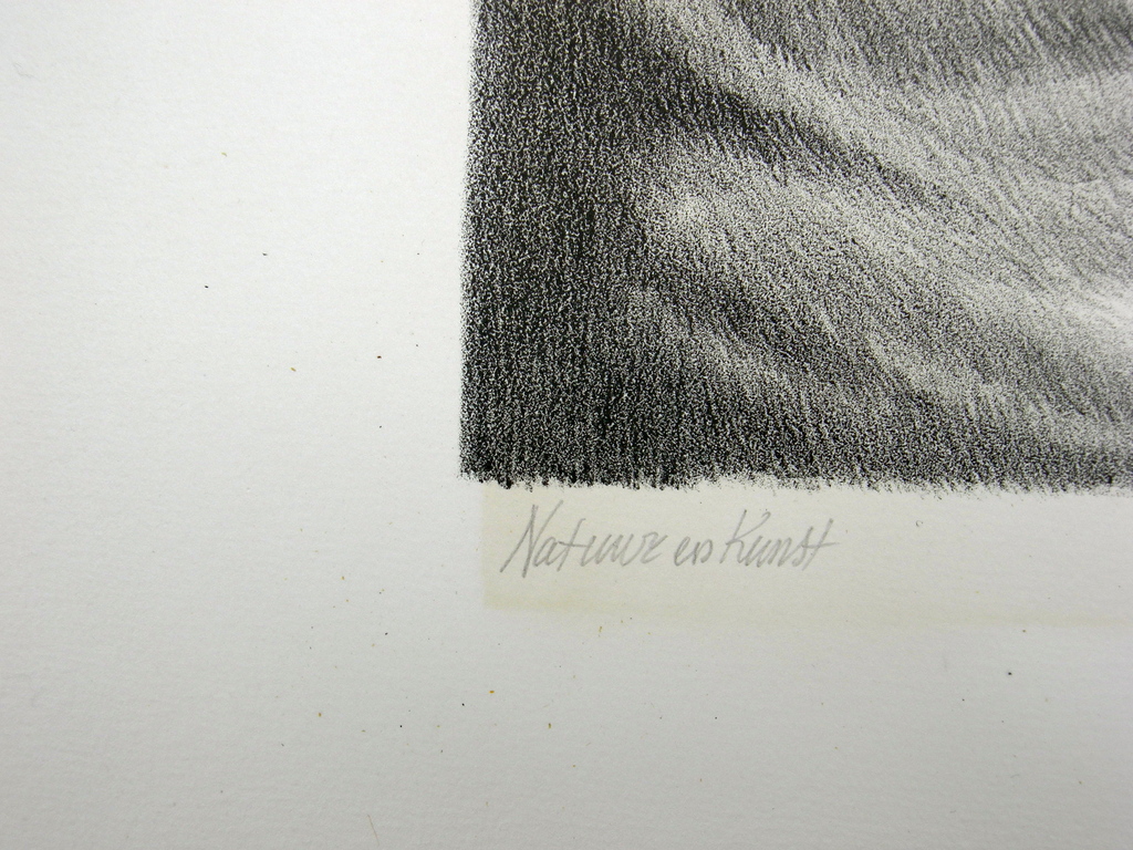 Peter Vos, litho: Natuur en kunst kopen? Bied vanaf 50!