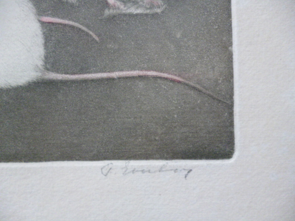 Frans Everbag - kleurenets - Vier witte muizen bij een kandelaar kopen? Bied vanaf 165!