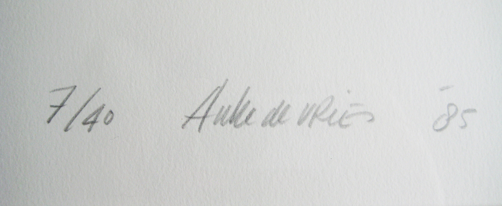 Auke de Vries, ingelijste zeefdruk, 1985, 7/40 kopen? Bied vanaf 100!