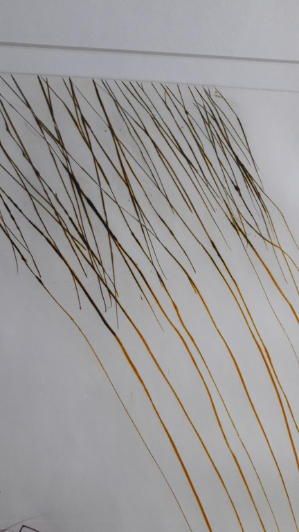 Ger Lataster,  Gesigneerd , zeefdruk  kopen? Bied vanaf 35!