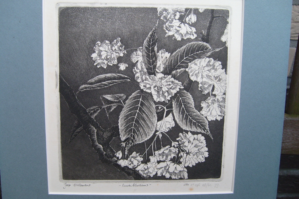 Jaap Dieleman (1955)