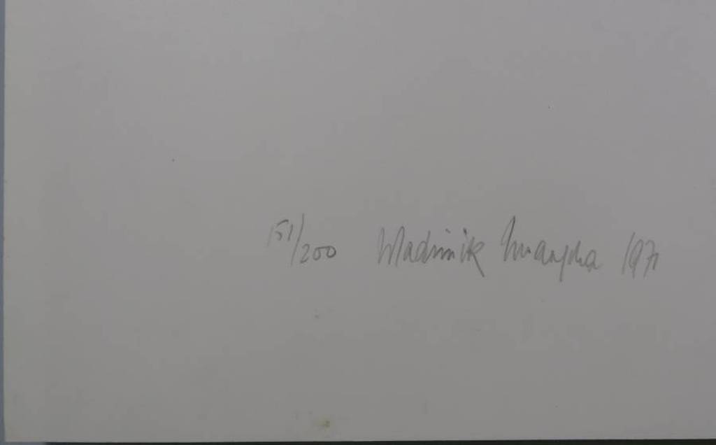 Wladimir Zwaagstra: Zeefdruk, Construction-Plex kopen? Bied vanaf 35!