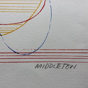 Sam Middleton - Sam Middleton (2 stuks): 1 ingelijste gesigneerde kleurenlitho én 1 niet ingelijste gesigneerde kleurenlitho kopen? Bied vanaf 60!