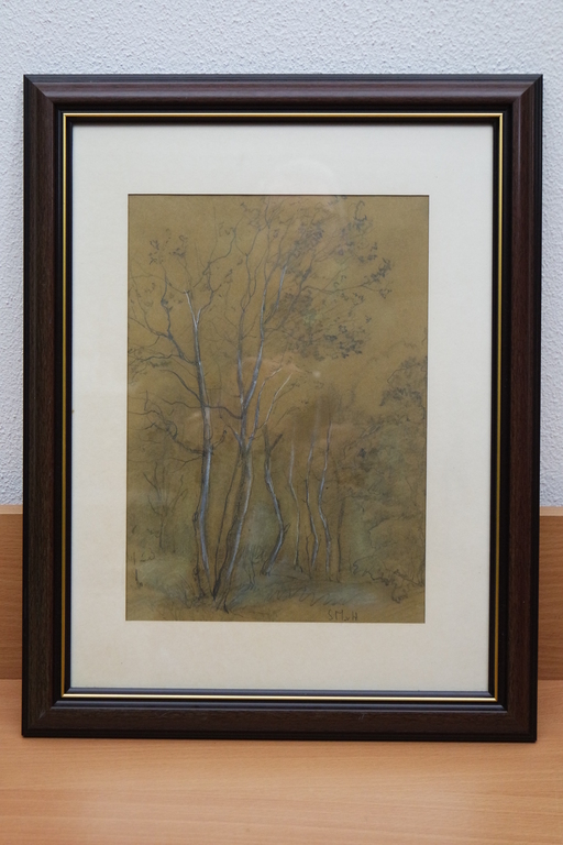 Sientje Mesdag van Houten (1834 - 1909) - gemengde techniek - studie van bomen kopen? Bied vanaf 170!