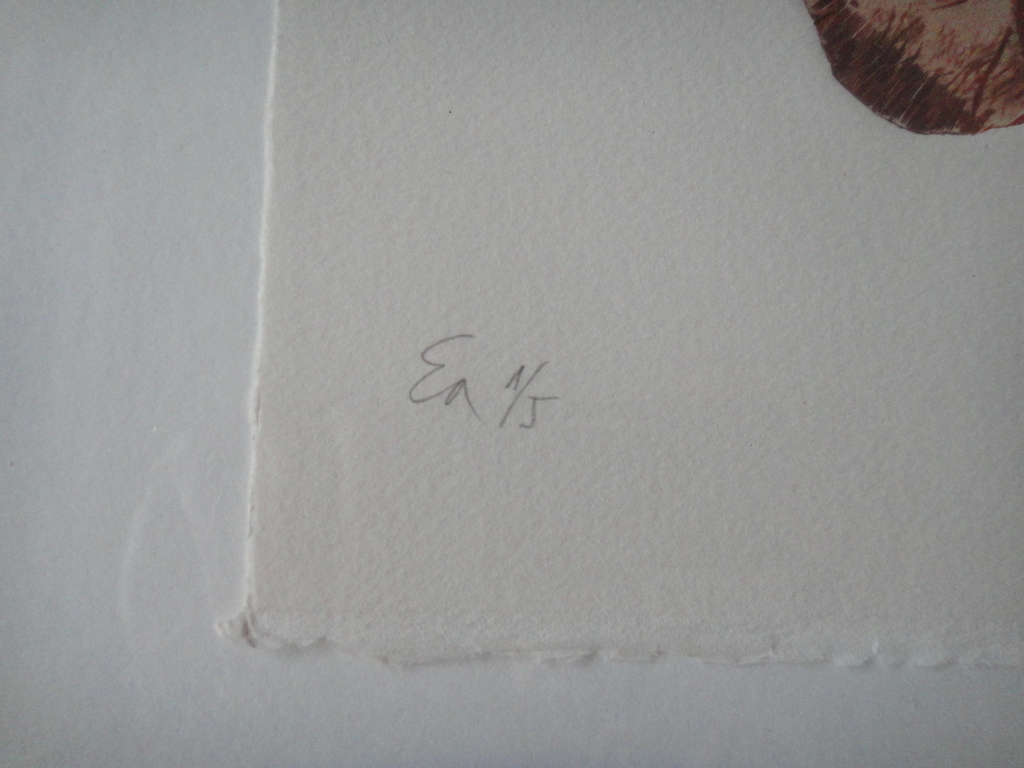 Kemal Sirbegovic, ets, "hand" kopen? Bied vanaf 1!