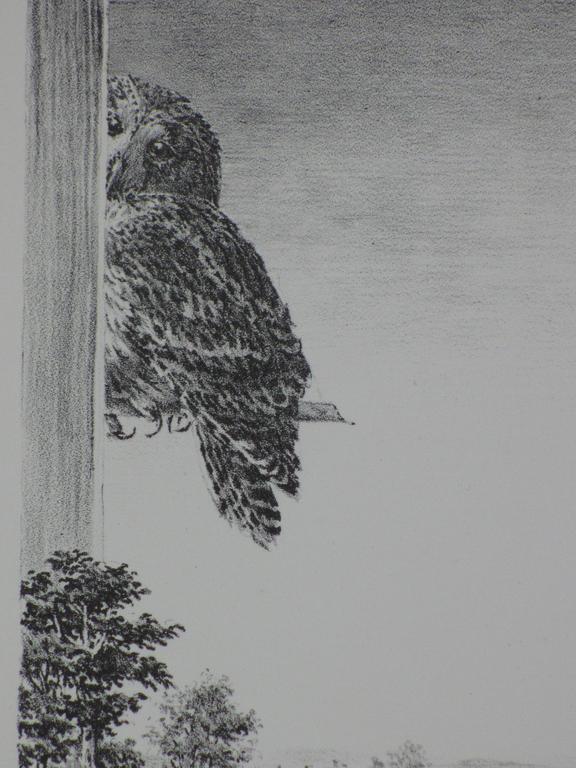 Peter Vos, Verte, Litho kopen? Bied vanaf 100!