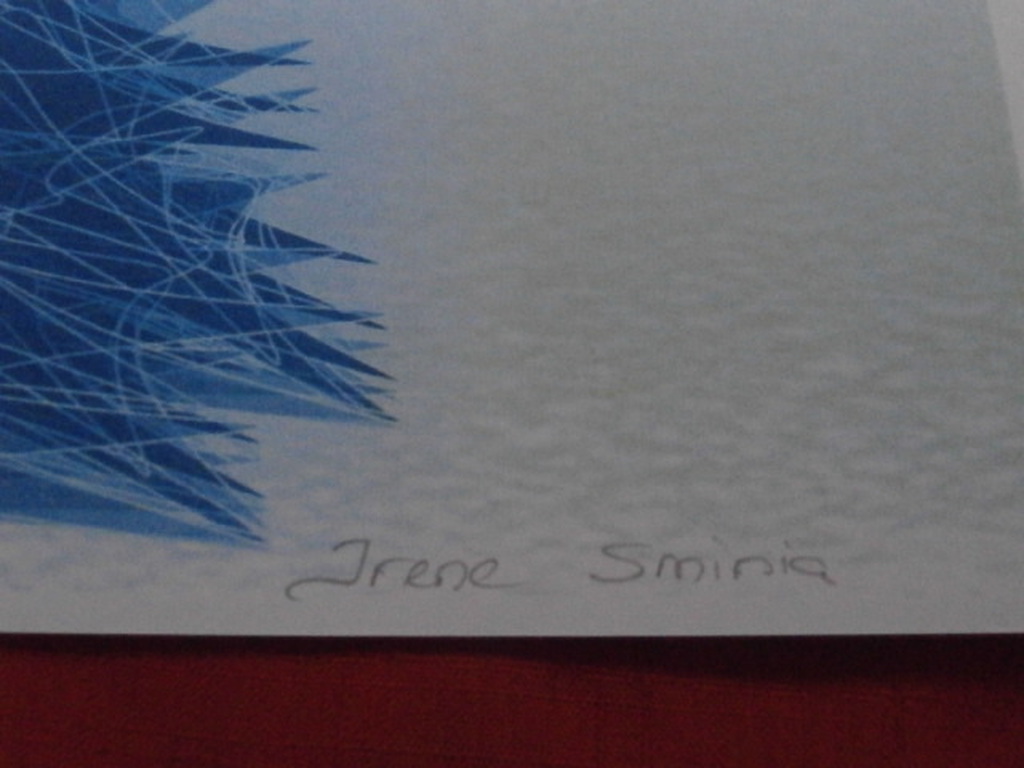 irene sminia * winter op groenland * digitale grafiek kopen? Bied vanaf 49!