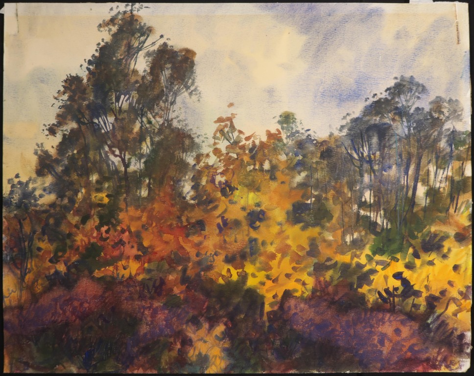 Beint Mankes: Aquarel, Bos kopen? Bied vanaf 1!