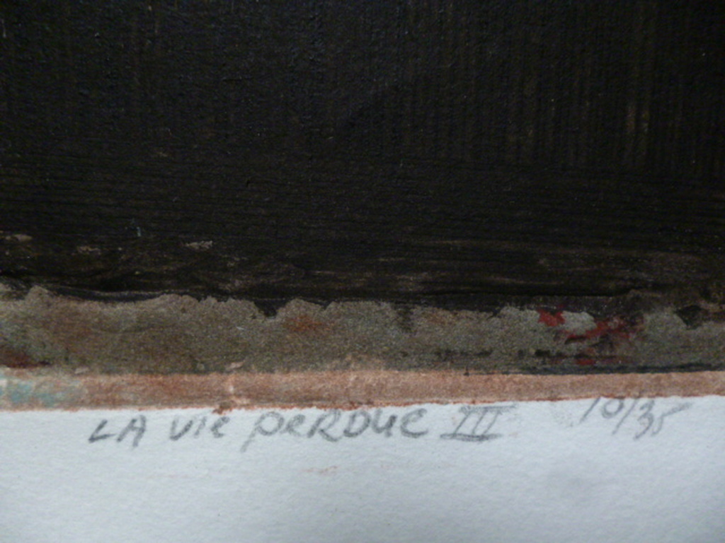 Ru van Rossem - kleurenets - La vie perdue III kopen? Bied vanaf 125!