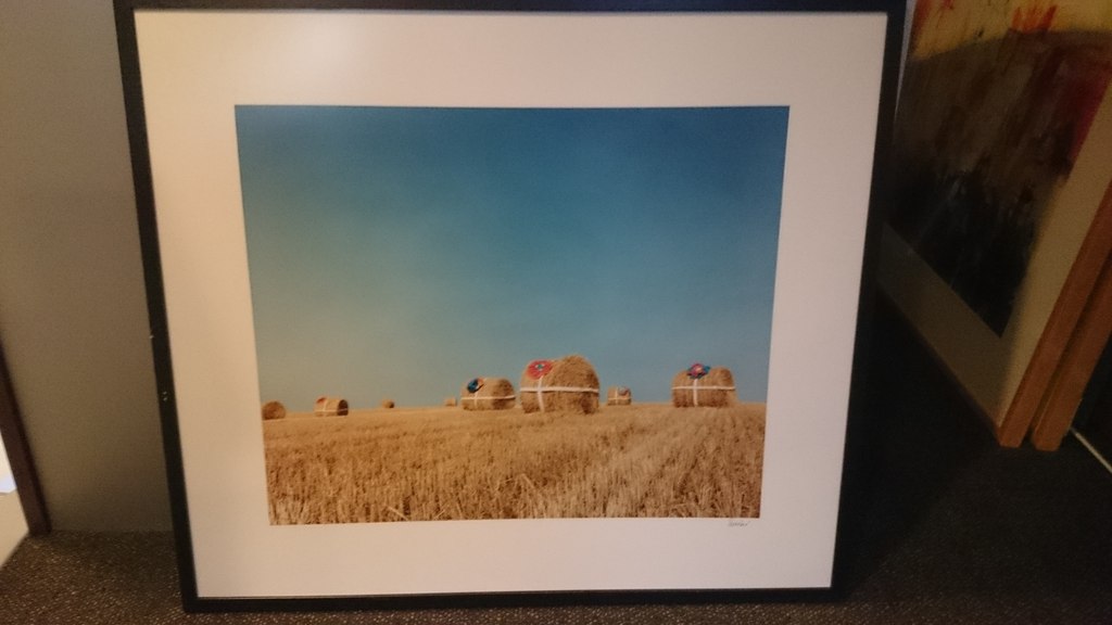 Present of the field - Jean Ruiter verkocht voor € 49!