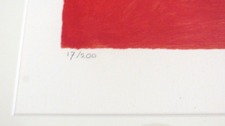 Eugène Brands: Kleurenzeefdruk - Exotische vis - PRACHTIG INGELIJST  kopen? Bied vanaf 375!