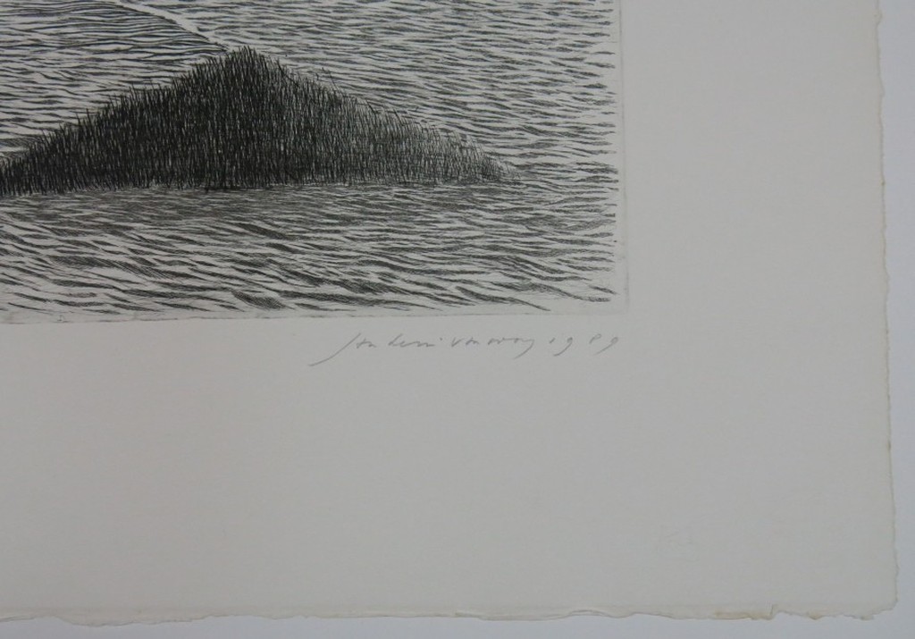 Jan Hein van Rooy: Ets, Buitenpolder kopen? Bied vanaf 1!