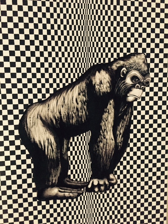 Bokito kopen? Bied vanaf 150!