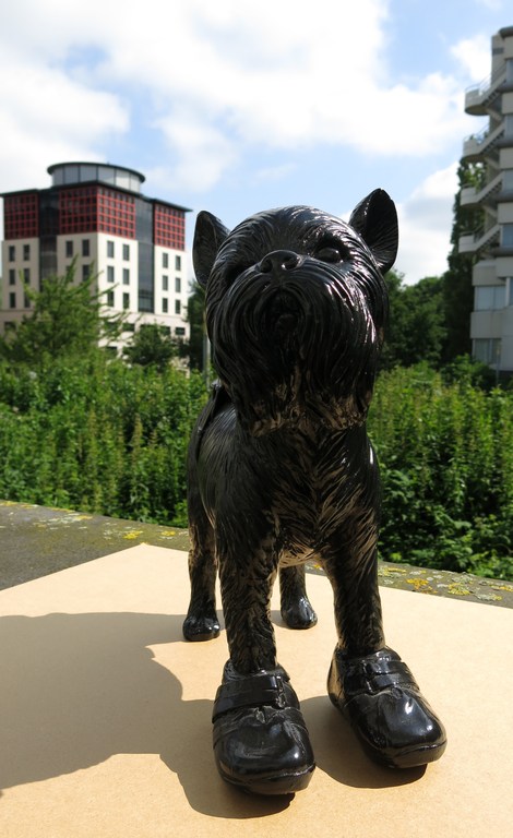 William Sweetlove: Hars, Cloned Griffon Bruxellois with pet bottle kopen? Bied vanaf 450!