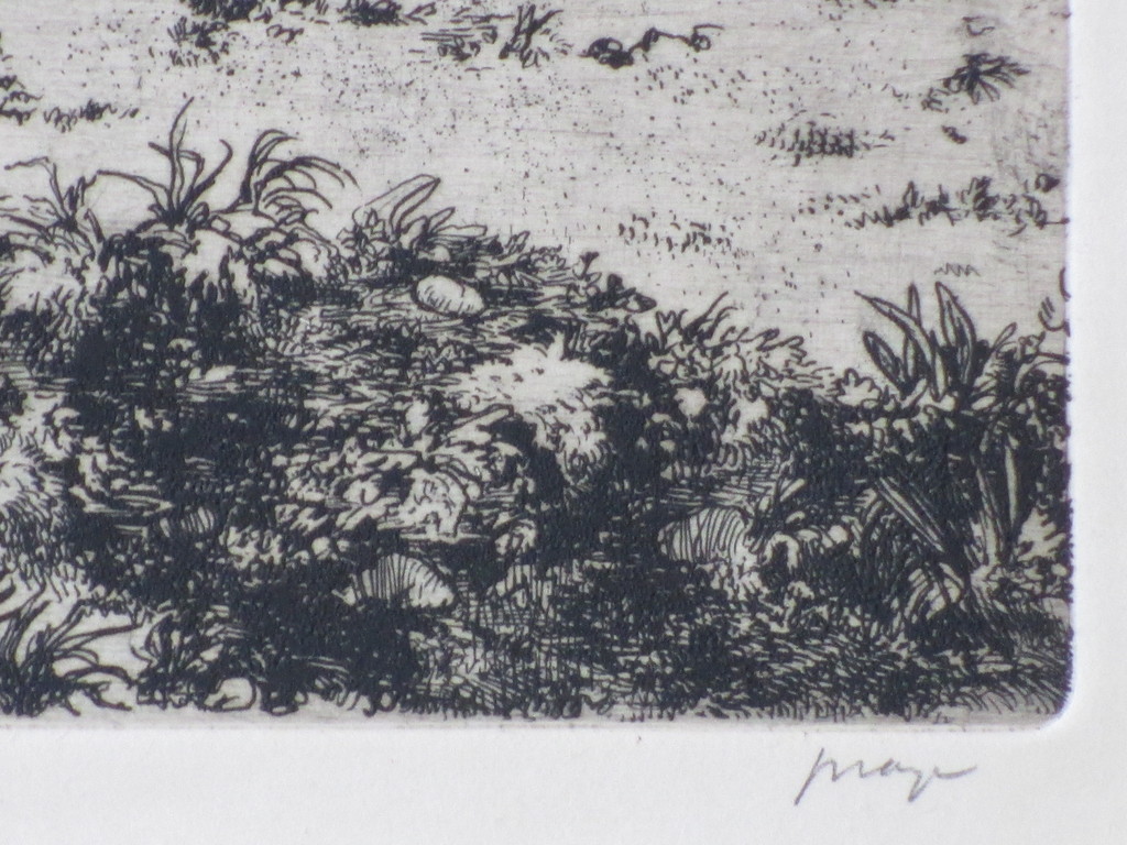 Ko Prange, Mythologisch paard, Ets kopen? Bied vanaf 35!