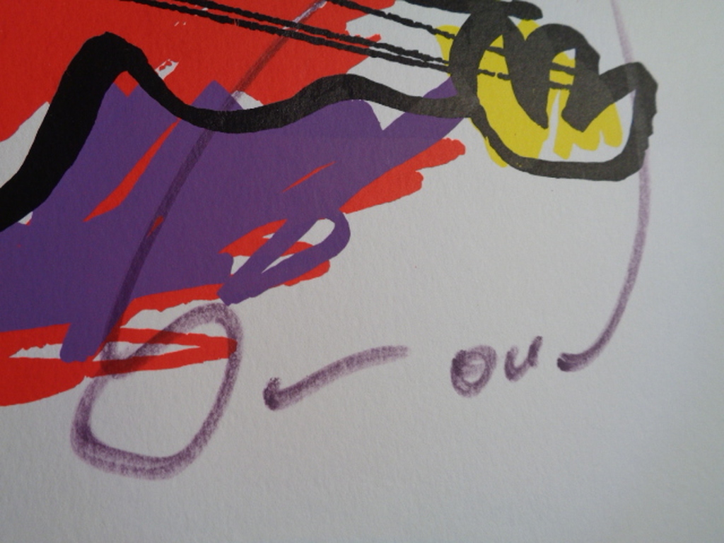 HERMAN BROOD, Gelimiteerde en HANDGESIGNEERDE Zeefdruk ELVIS kopen? Bied vanaf 139!