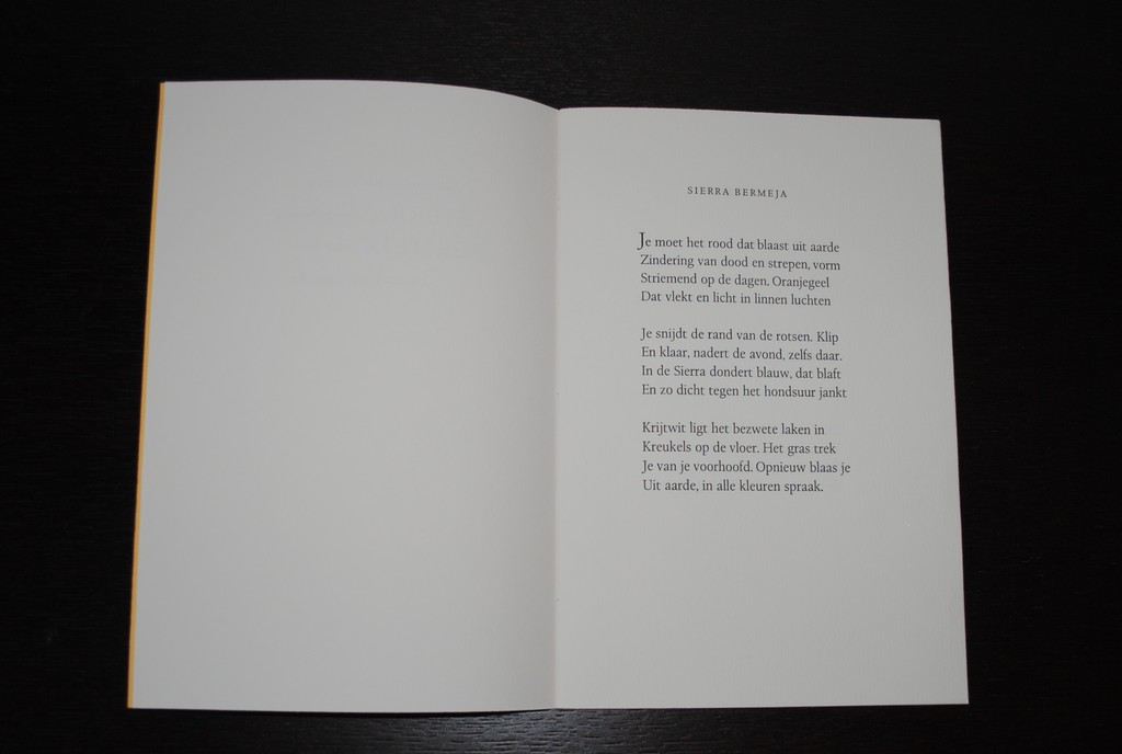 Sierra Bermeja: zeefdruk P. Defesche + 3 gedichten H. v.d. Waarsenburg - 1994 kopen? Bied vanaf 15!